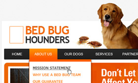 Bed Bug Hounders